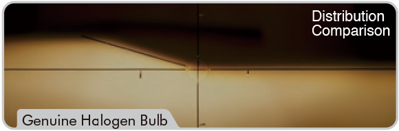 Genuine Bulb